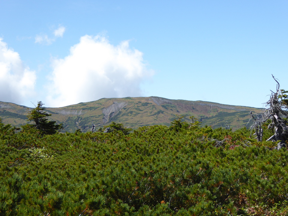 P1030183_mid.jpg