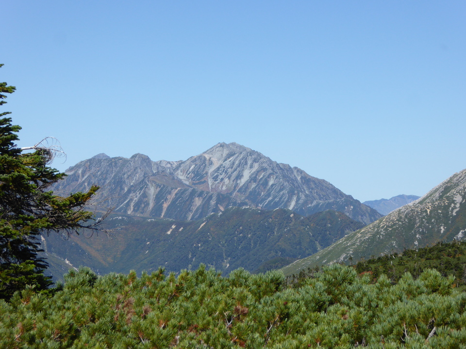 P1030184_mid.jpg