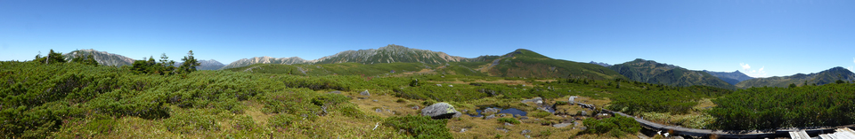 P1030185_mid.jpg