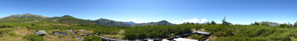 P1030186_mid.jpg
