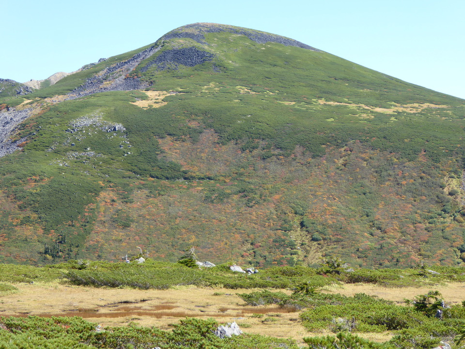 P1030189_mid.jpg