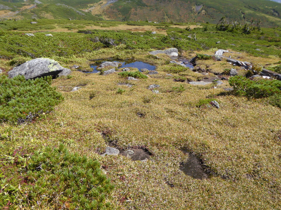 P1030190_mid.jpg