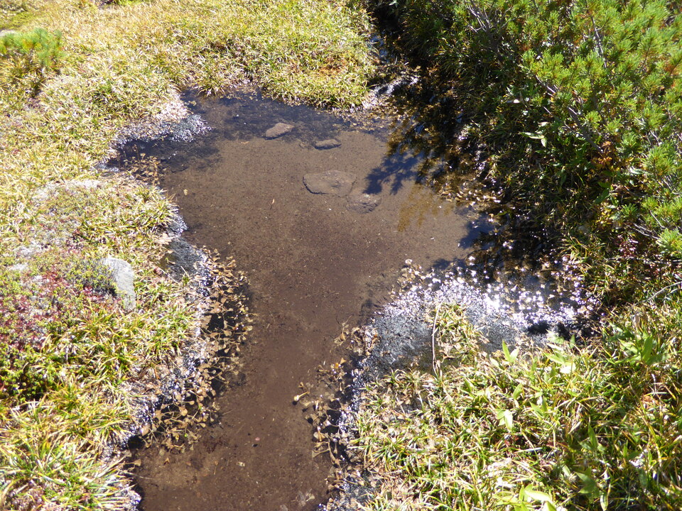 P1030195_mid.jpg