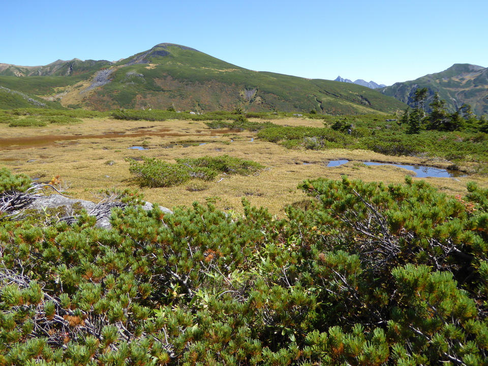 P1030197_mid.jpg