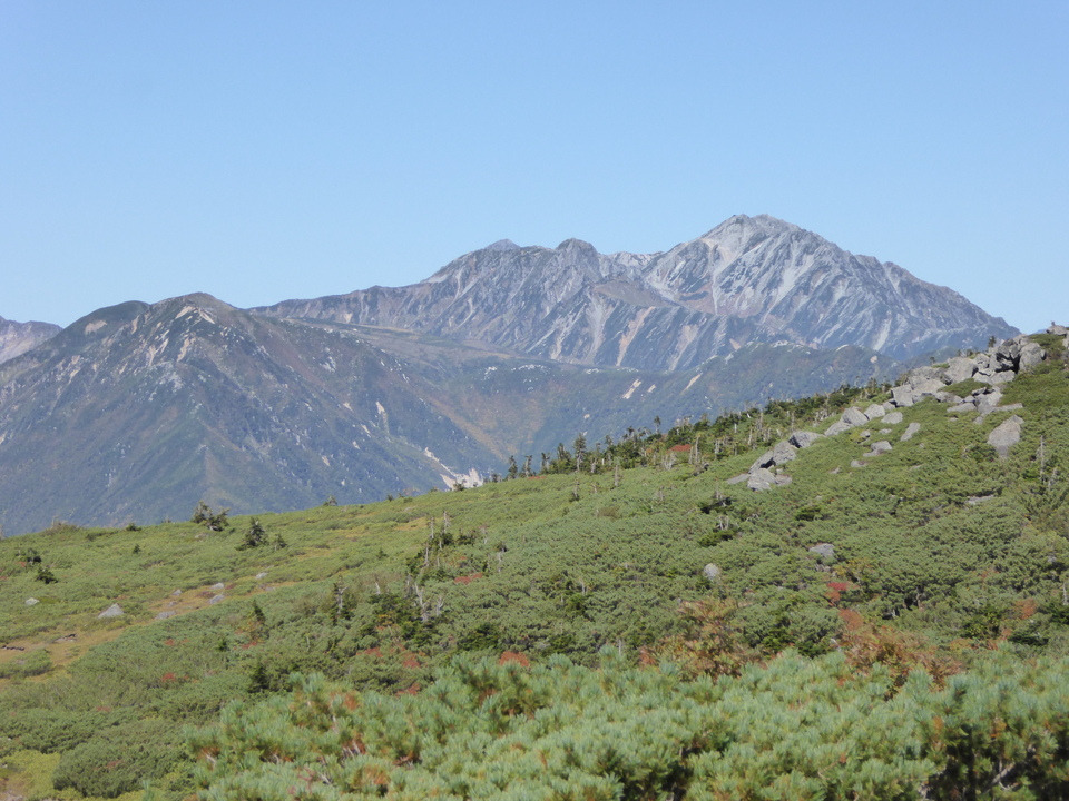 P1030198_mid.jpg