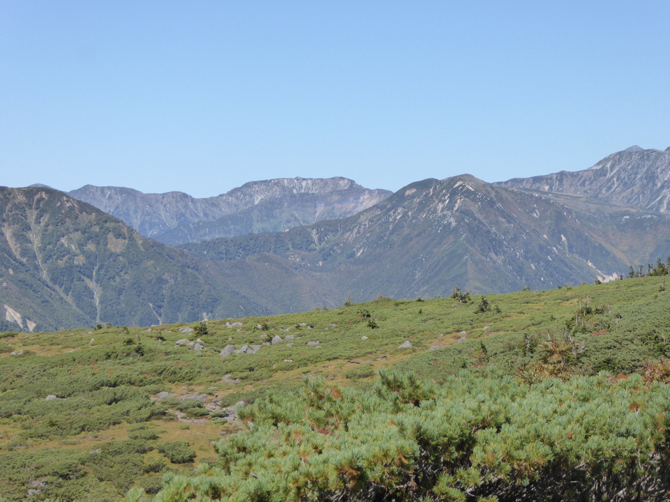 P1030201_mid.jpg