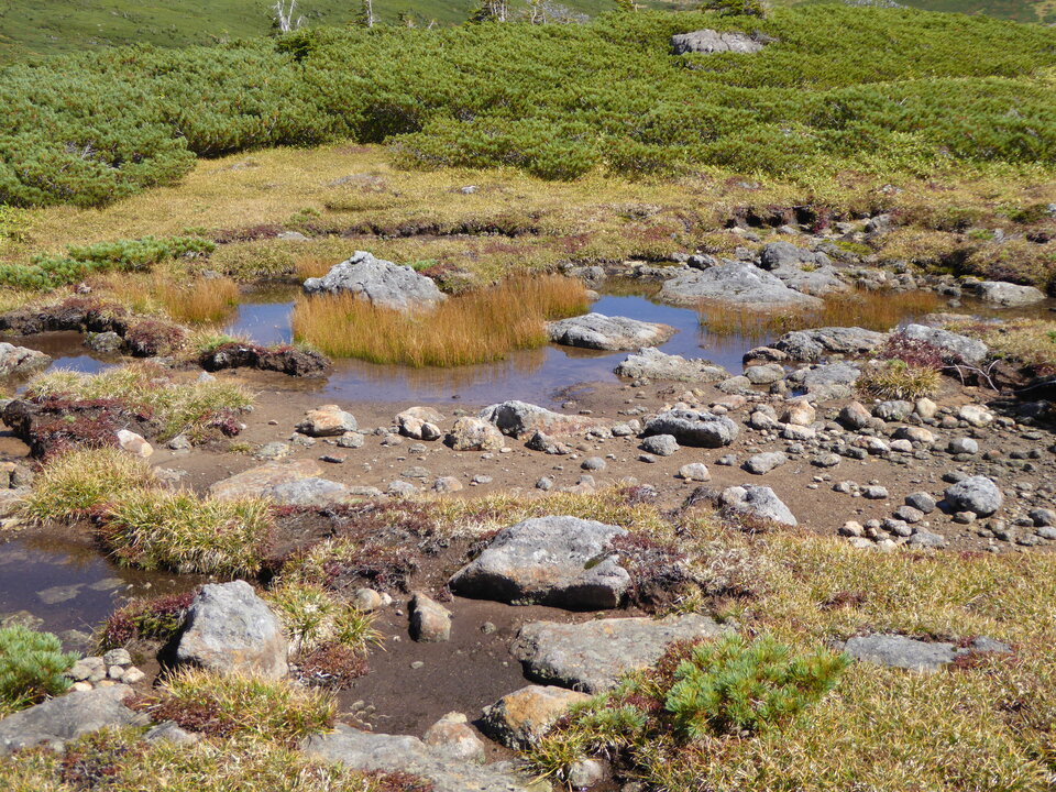 P1030202_mid.jpg
