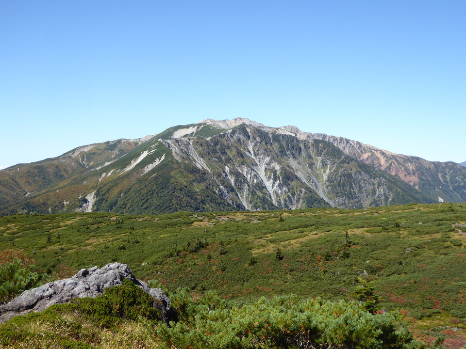 P1030205_mid.jpg