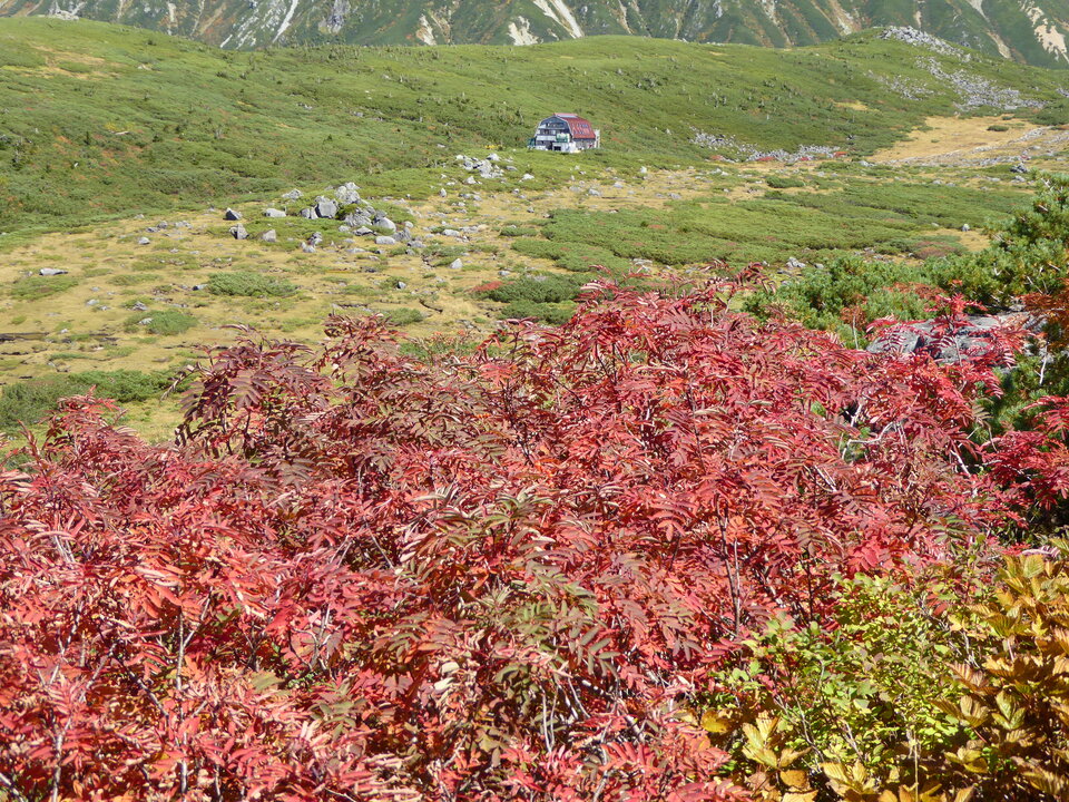 P1030217_mid.jpg