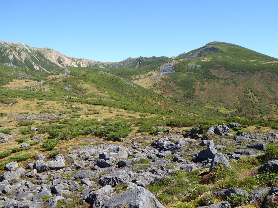 P1030220_mid.jpg