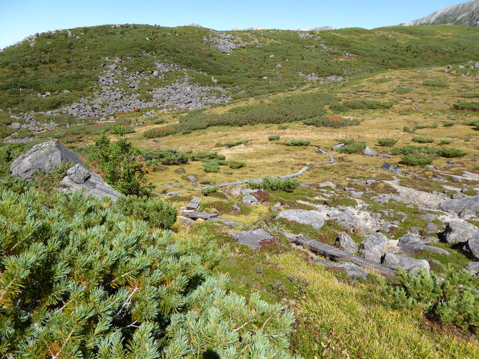 P1030222_mid.jpg