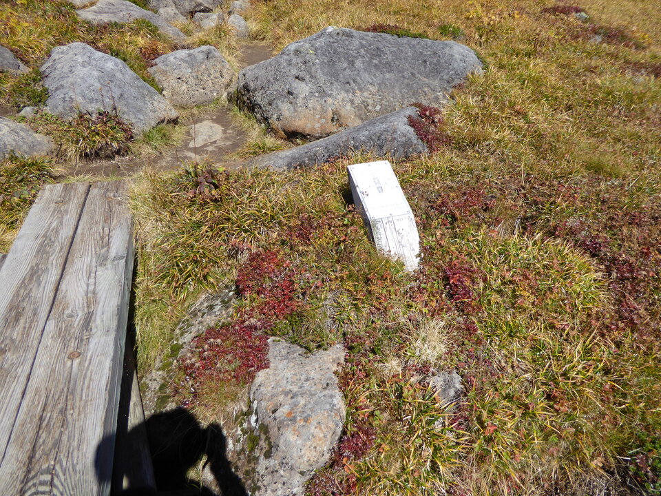 P1030227_mid.jpg