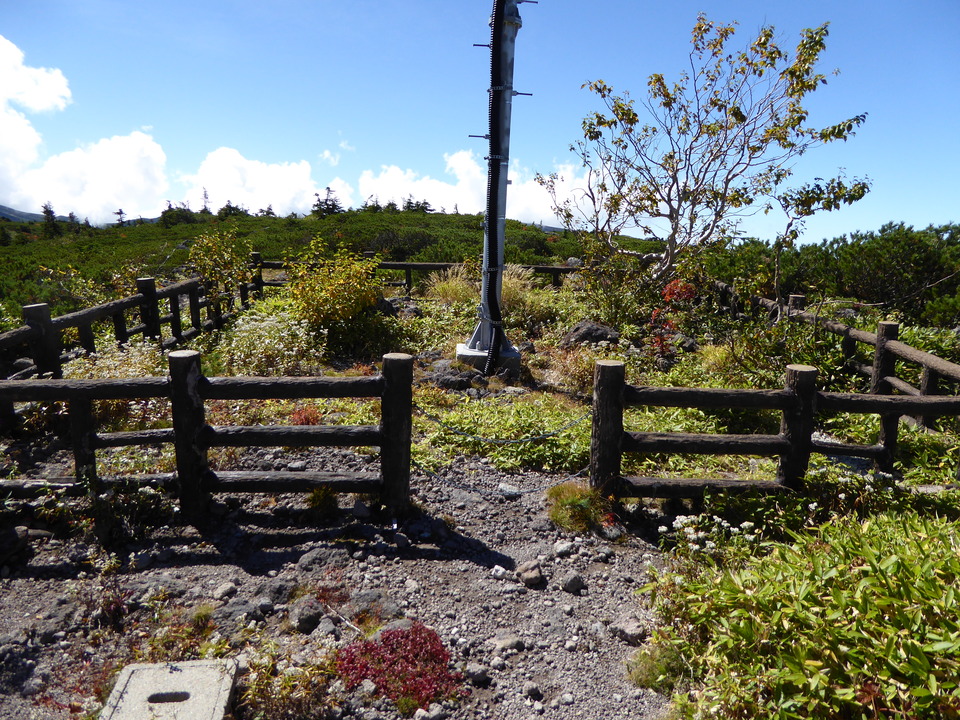 P1030248_mid.jpg