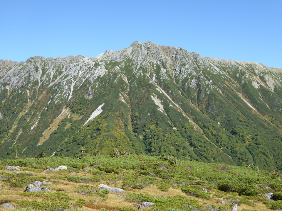 P1030251_mid.jpg