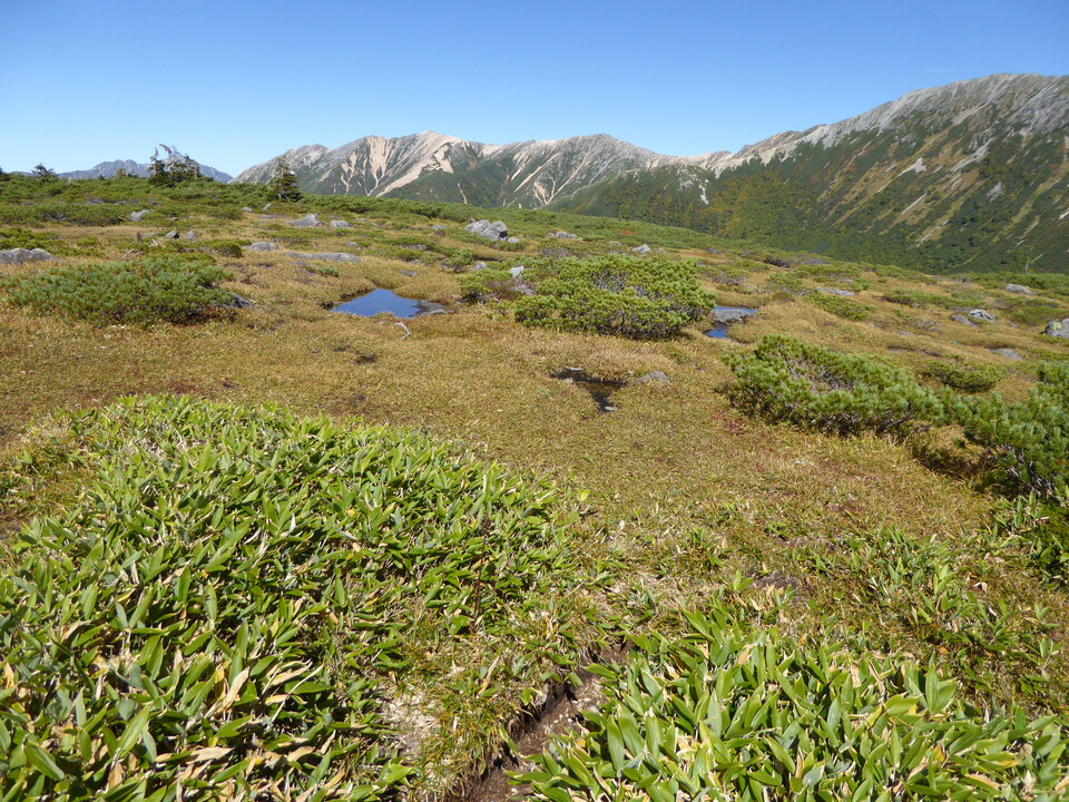 P1030252_mid.jpg
