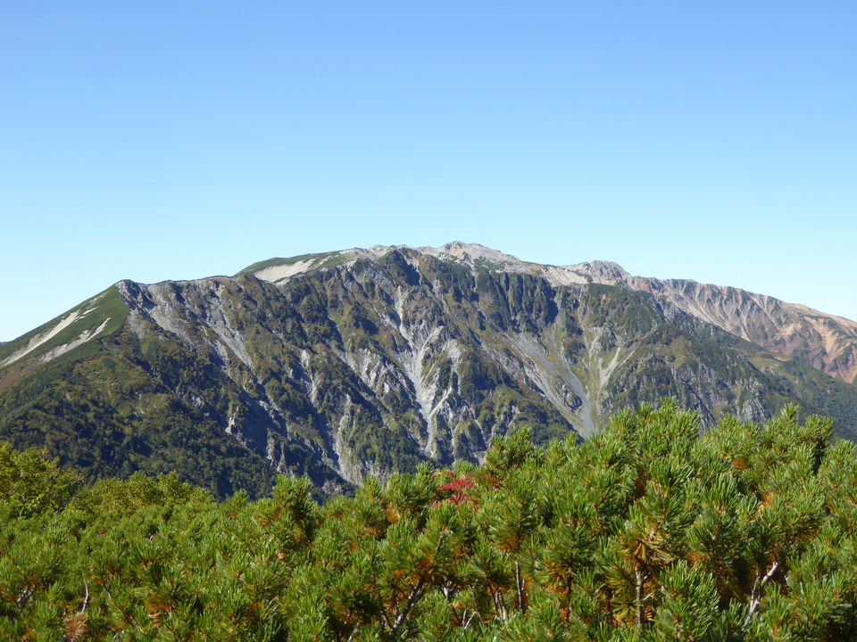 P1030263_mid.jpg