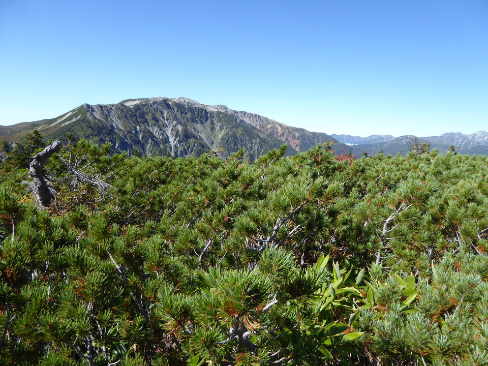 P1030267_mid.jpg