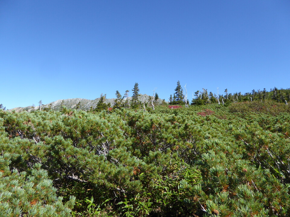 P1030269_mid.jpg