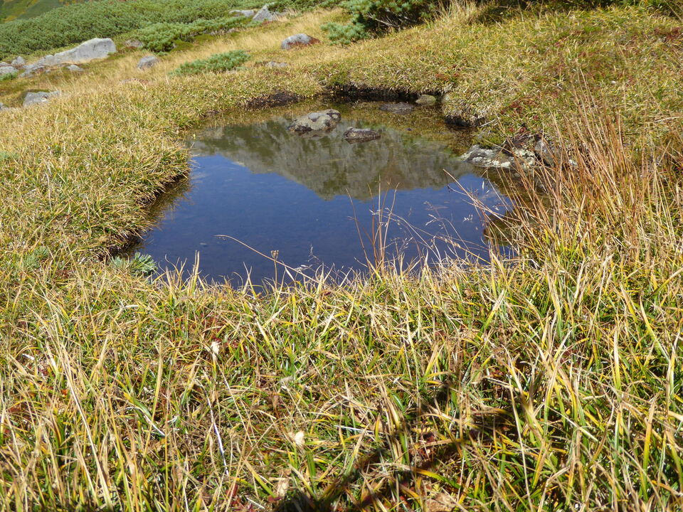 P1030282_mid.jpg