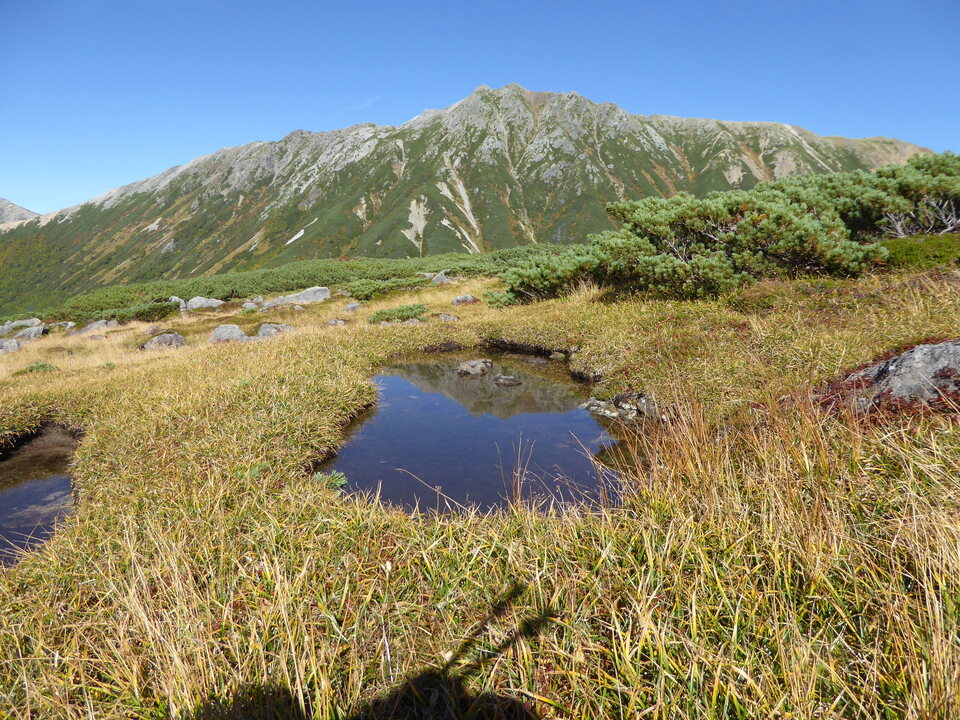 P1030283_mid.jpg