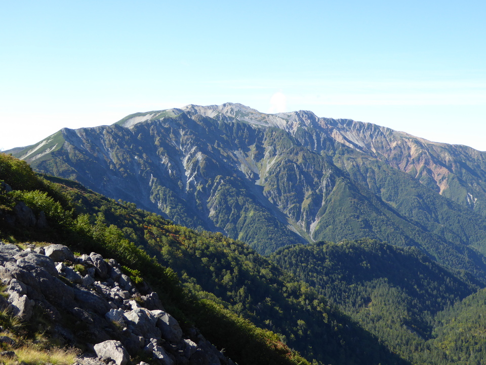 P1030288_mid.jpg