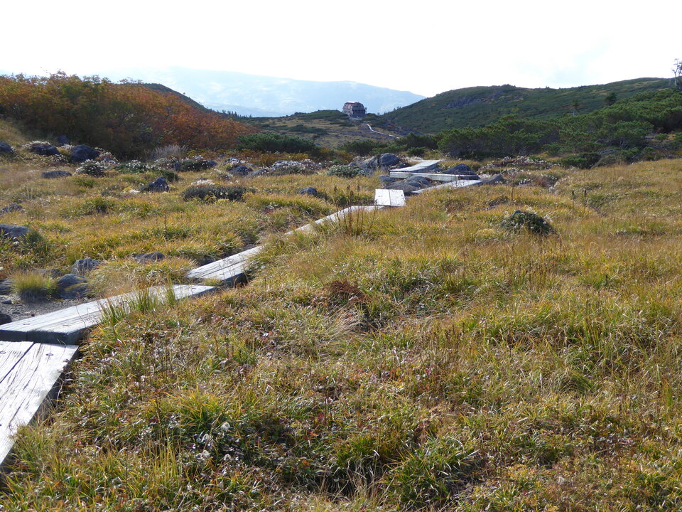 P1030301_mid.jpg