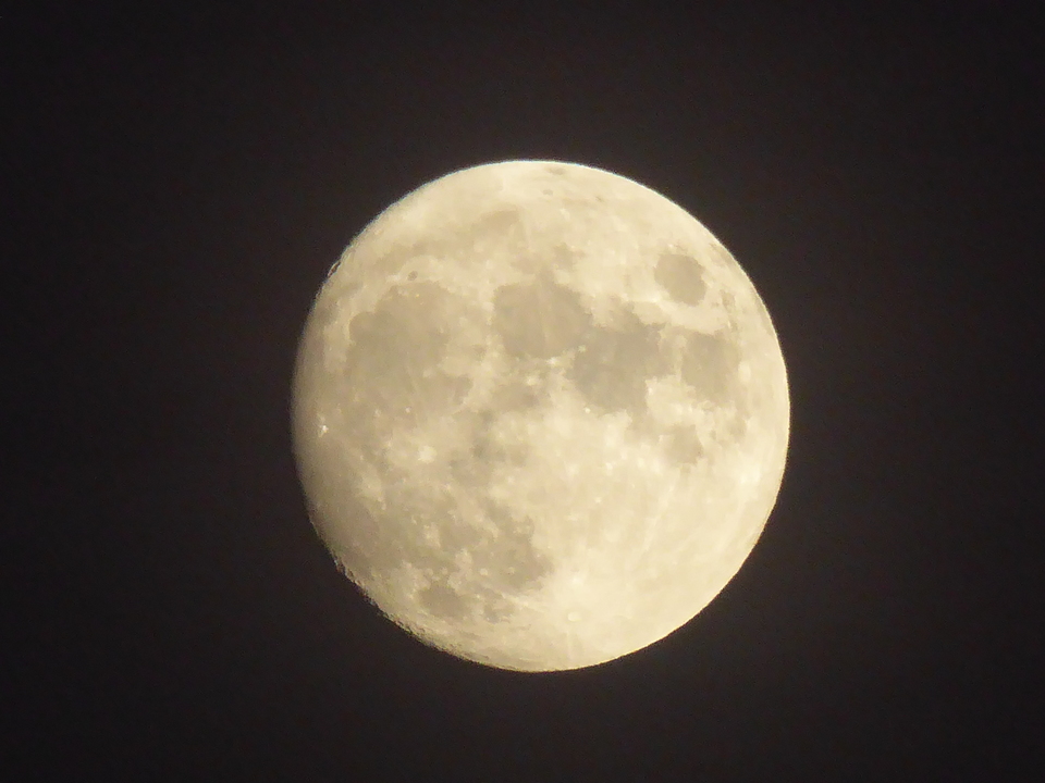 P1030307_mid.jpg