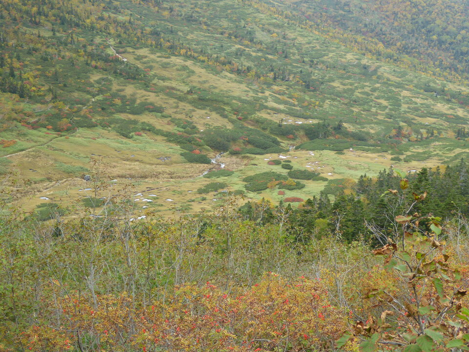 P1030326_mid.jpg