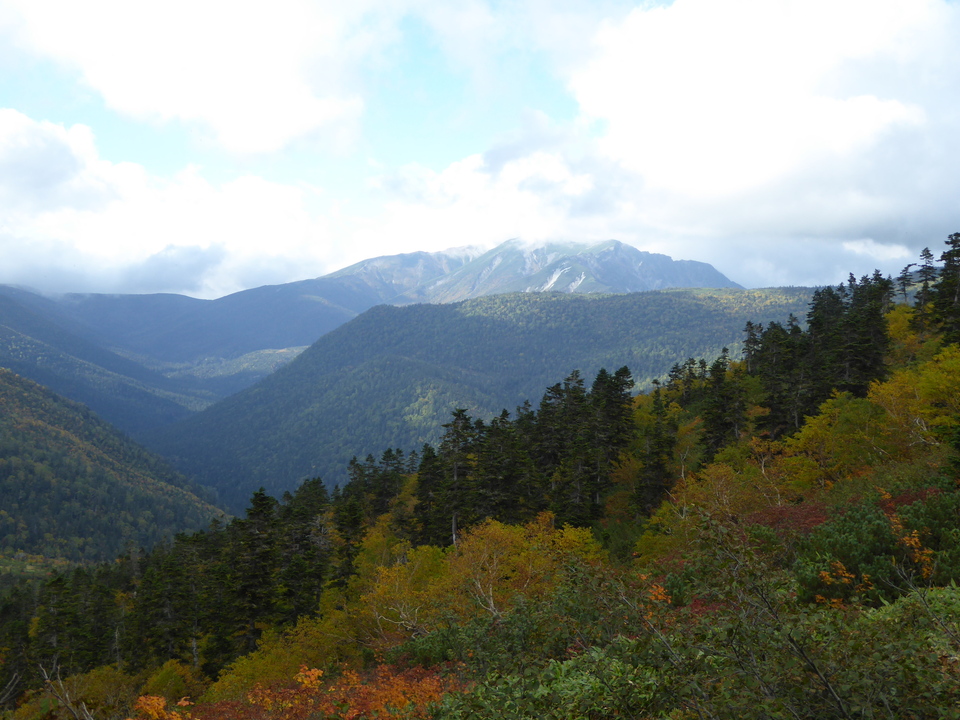 P1030330_mid.jpg