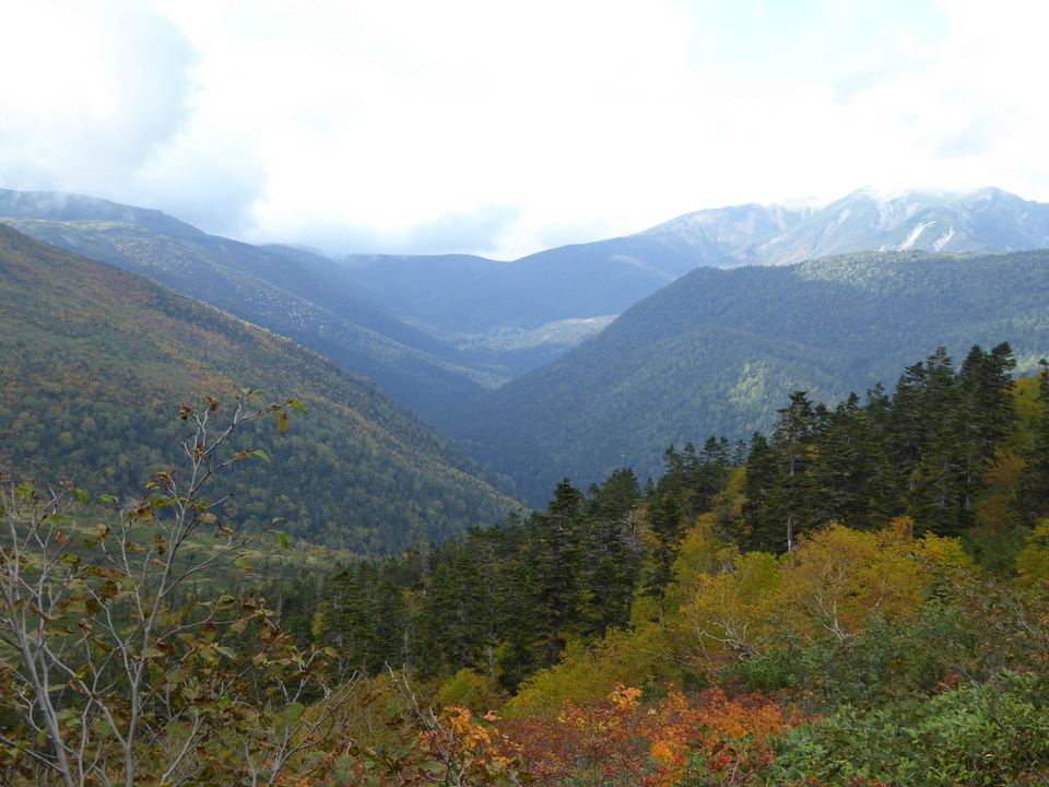 P1030331_mid.jpg