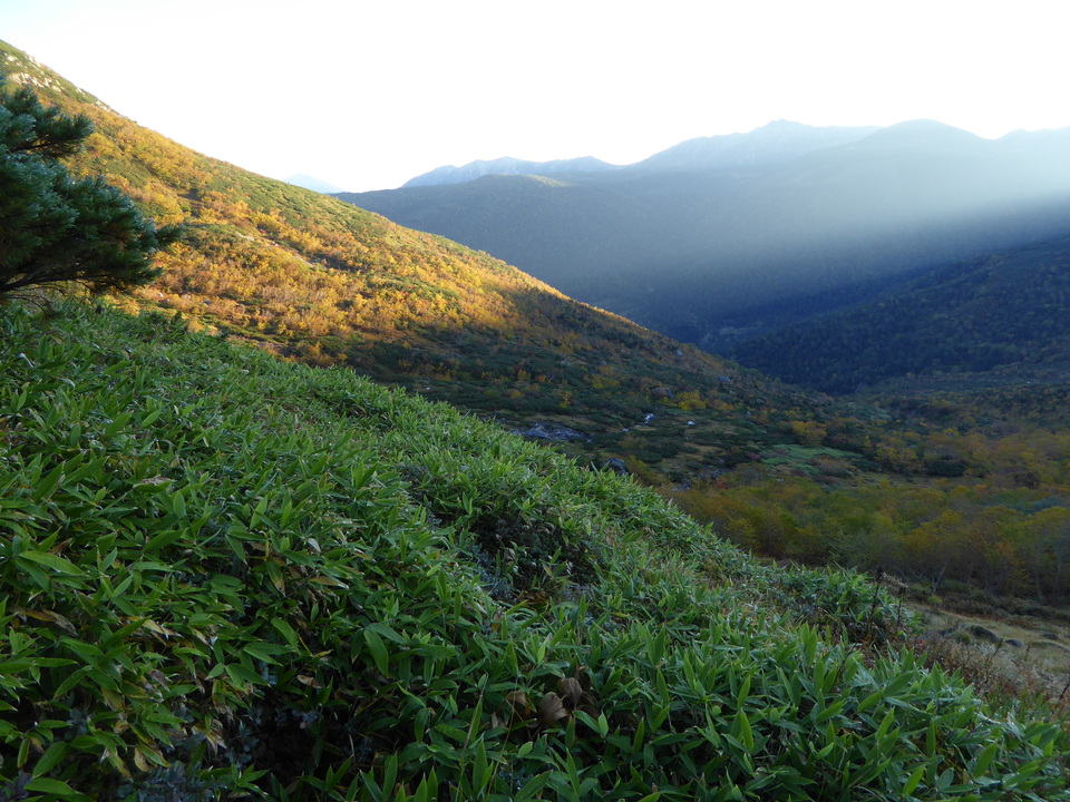 P1030334_mid.jpg