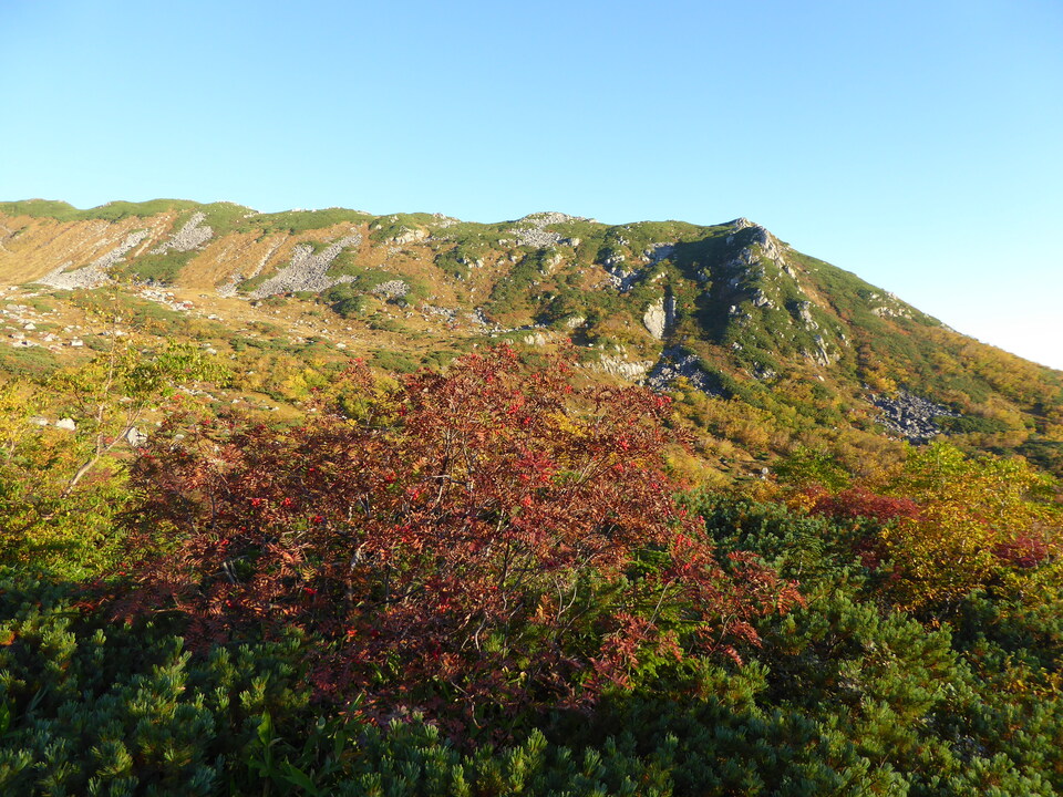 P1030343_mid.jpg
