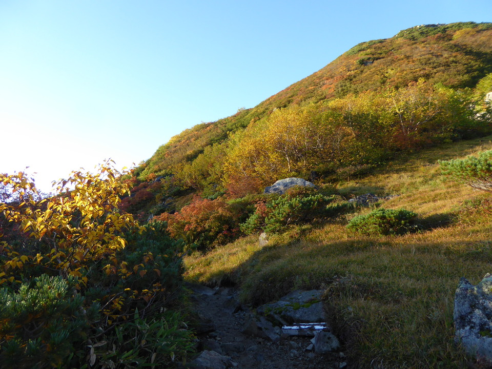 P1030347_mid.jpg