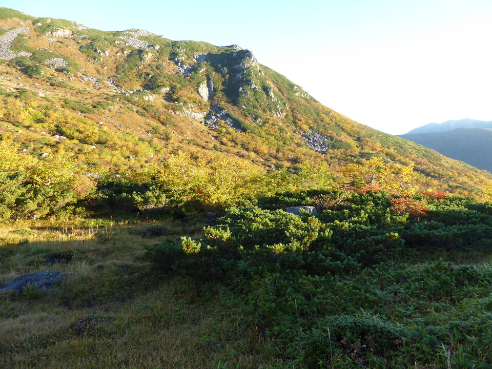 P1030351_mid.jpg