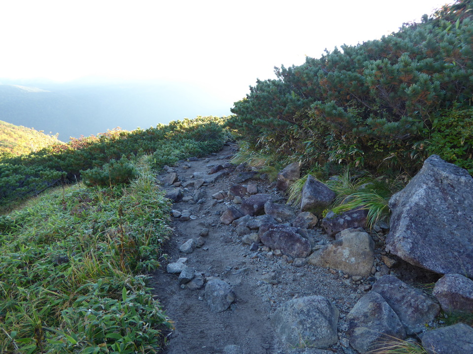 P1030353_mid.jpg