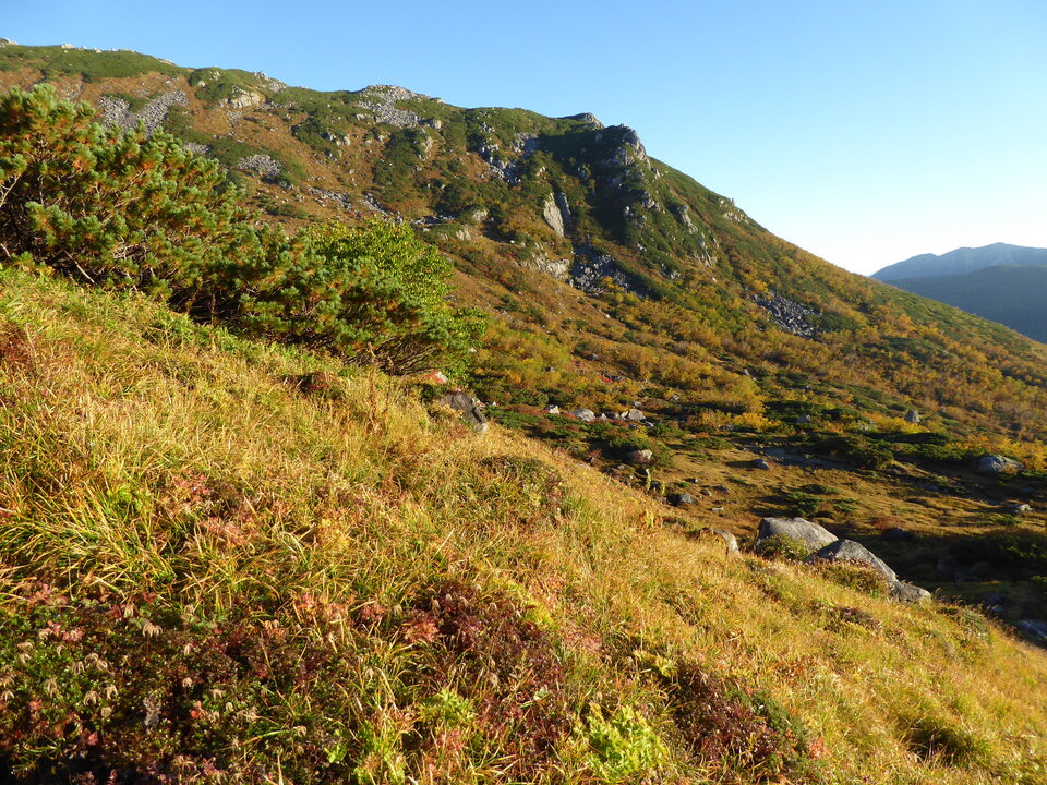P1030354_mid.jpg
