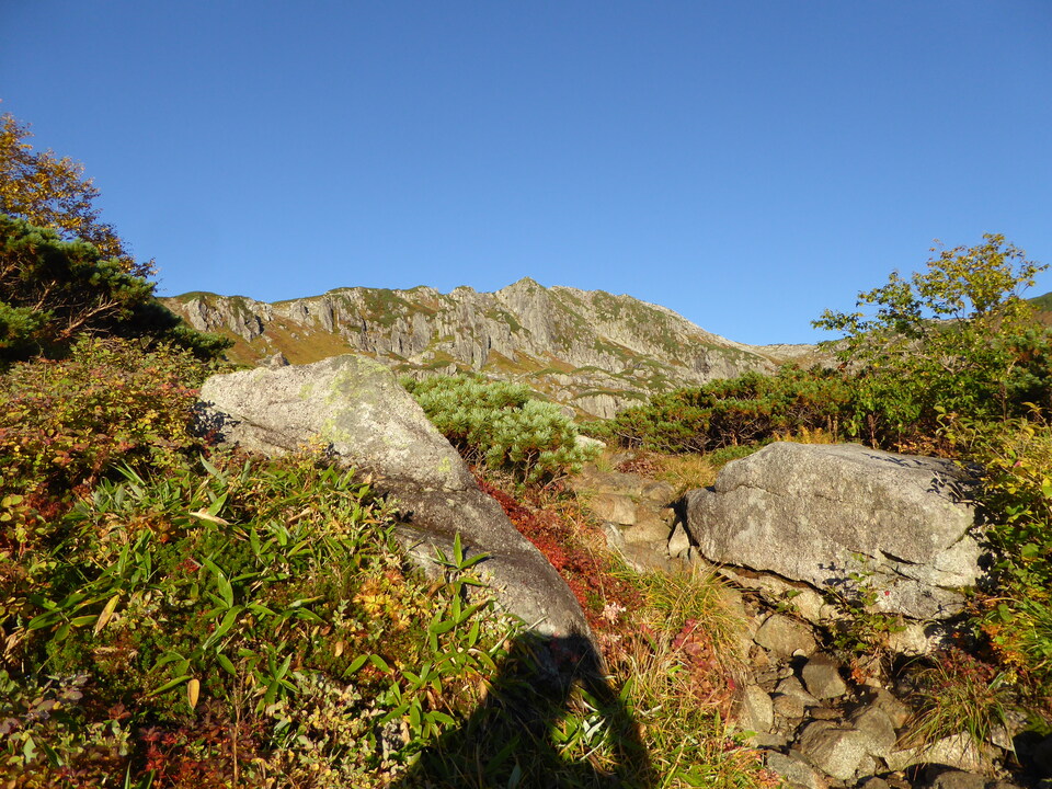 P1030355_mid.jpg