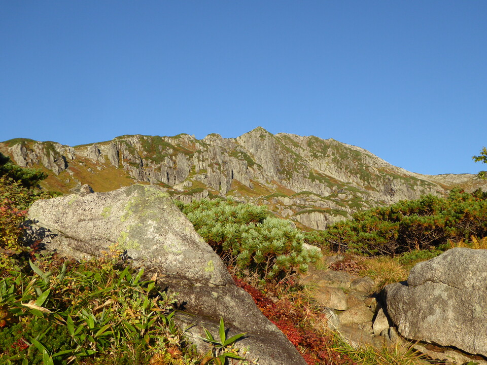 P1030356_mid.jpg