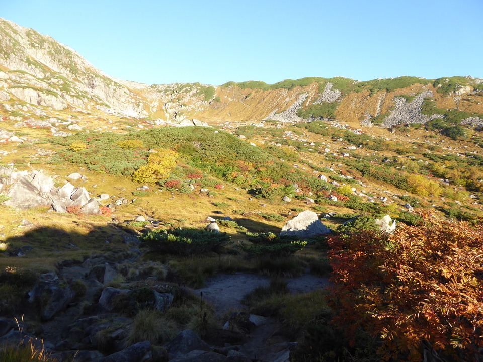 P1030361_mid.jpg