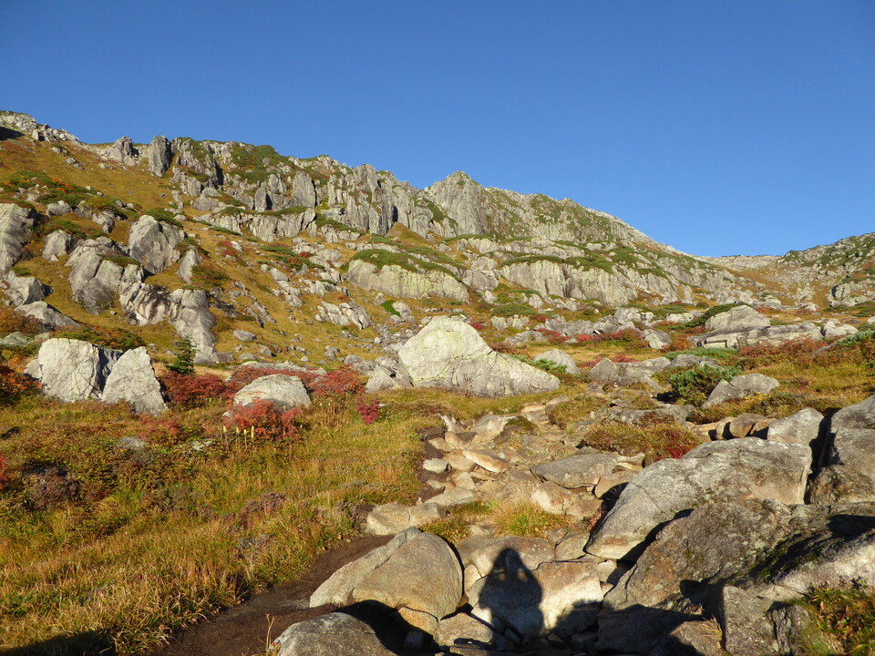 P1030369_mid.jpg