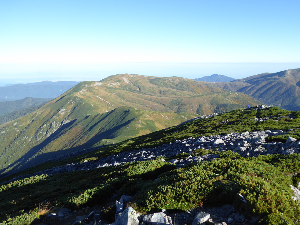 P1030412_mid.jpg