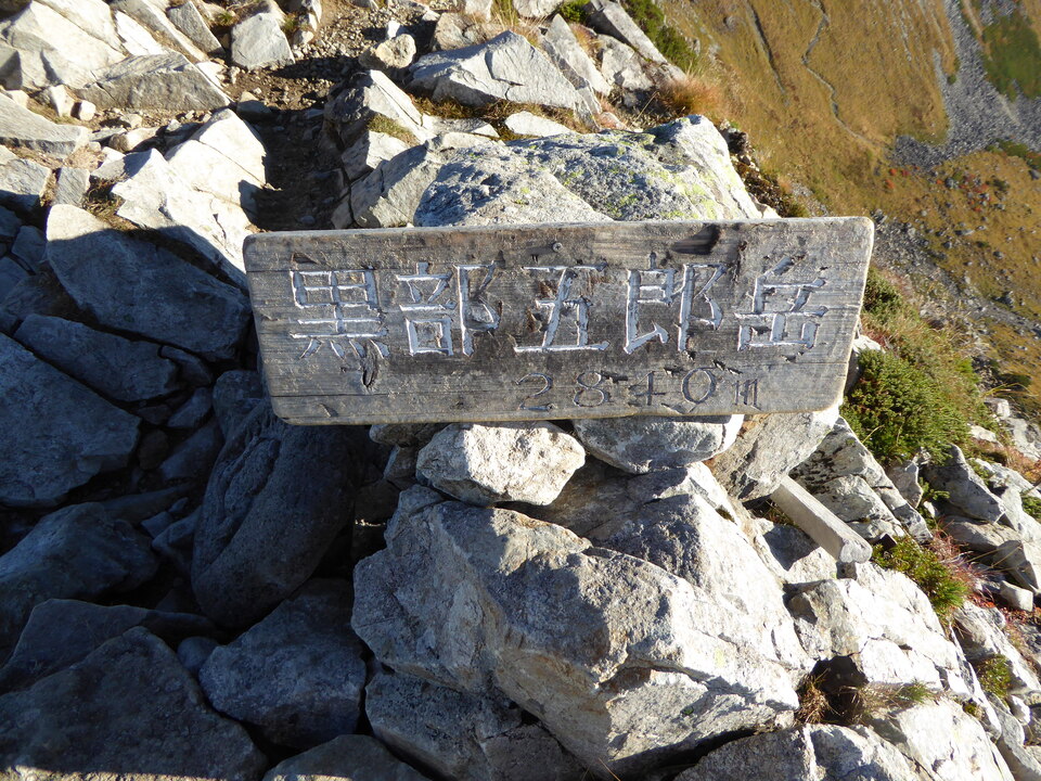 P1030429_mid.jpg