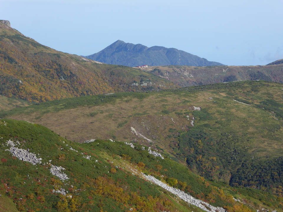 P1030451_mid.jpg