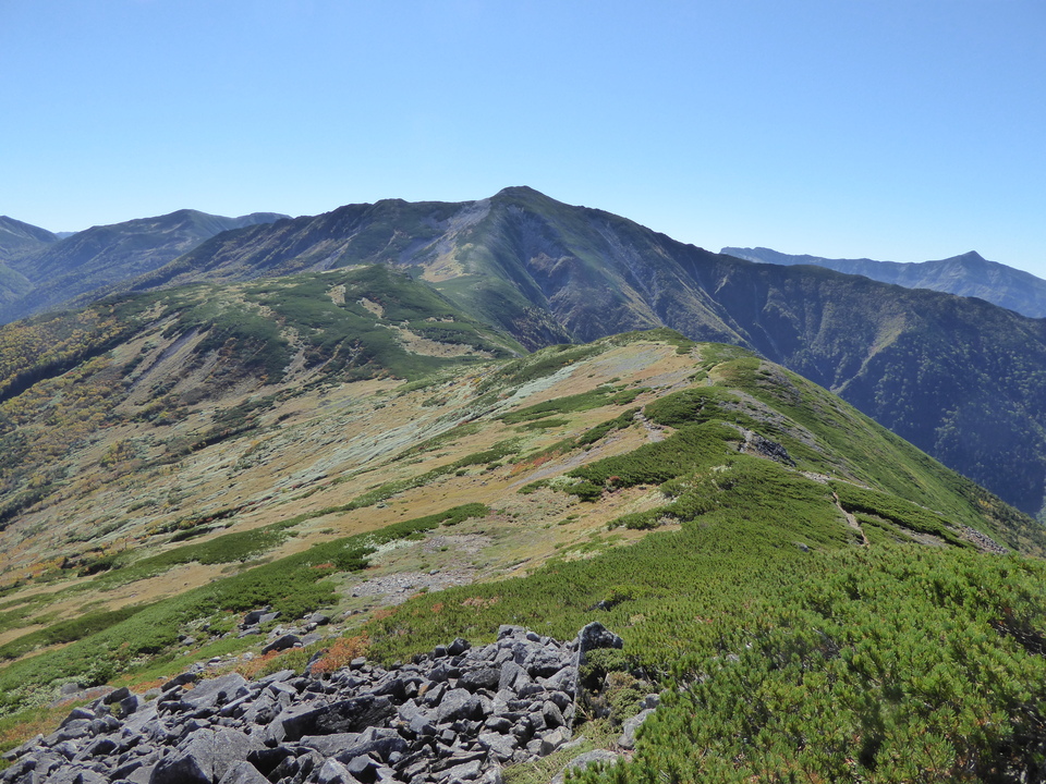 P1030464_mid.jpg