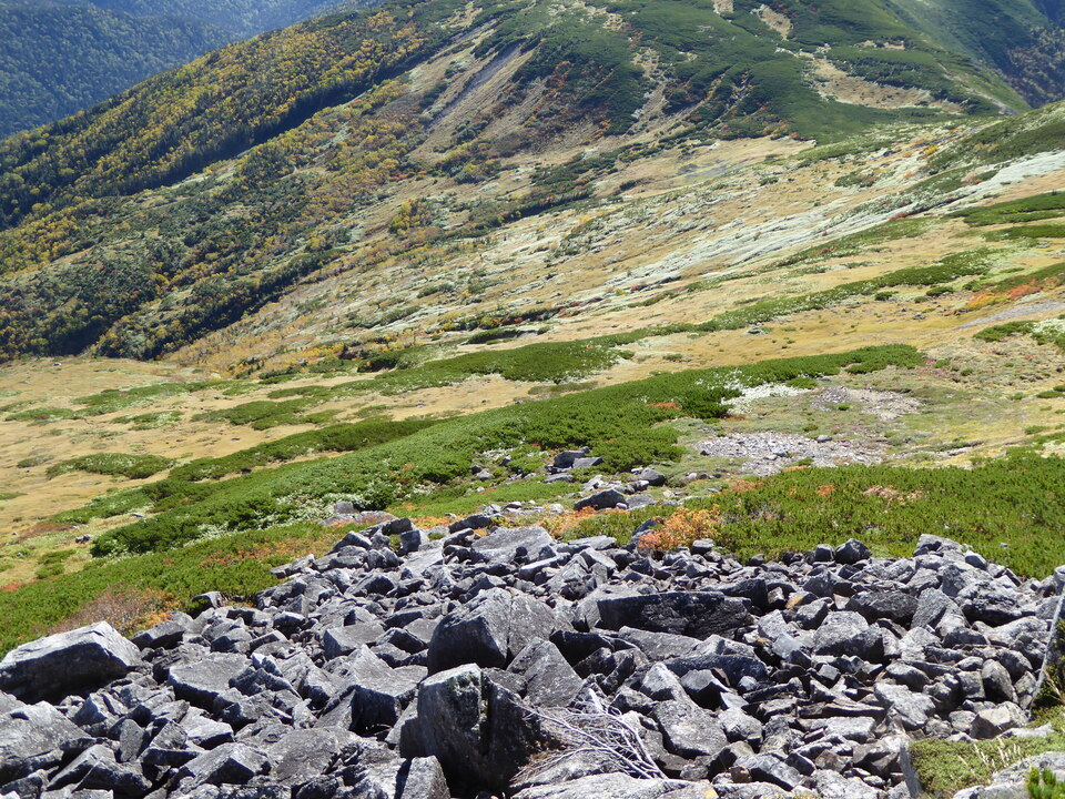 P1030473_mid.jpg