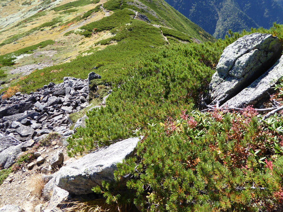 P1030476_mid.jpg