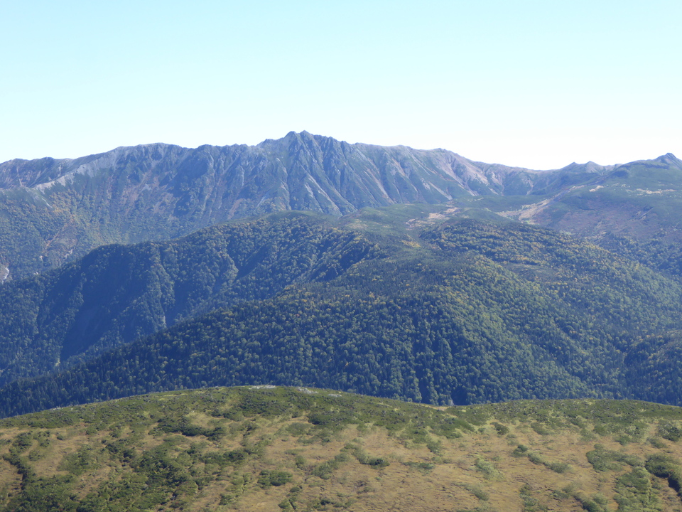 P1030490_mid.jpg