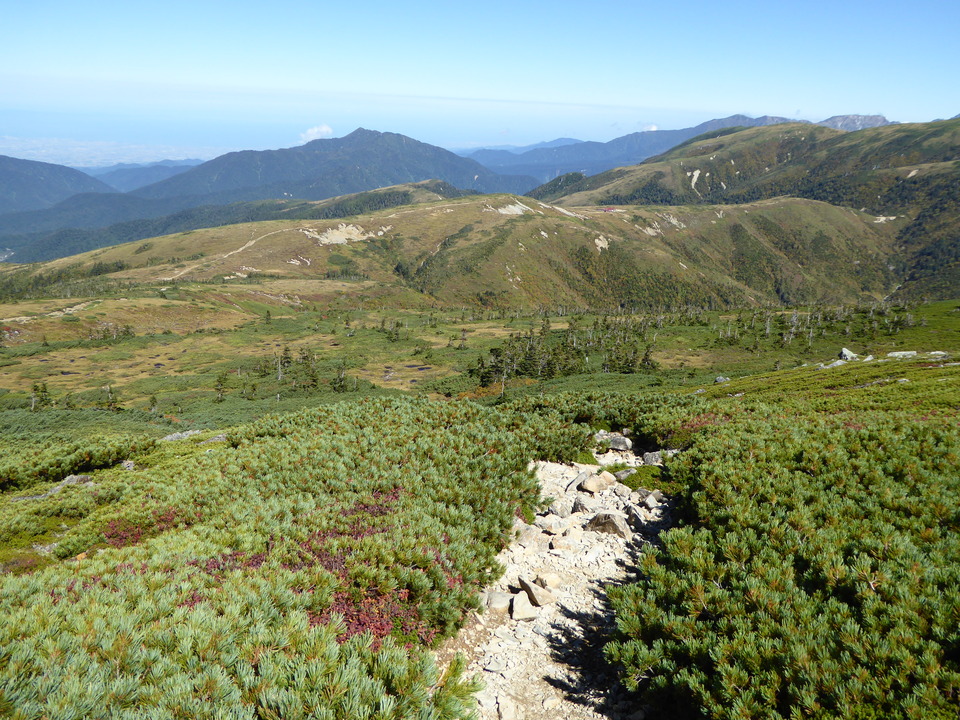 P1030512_mid.jpg