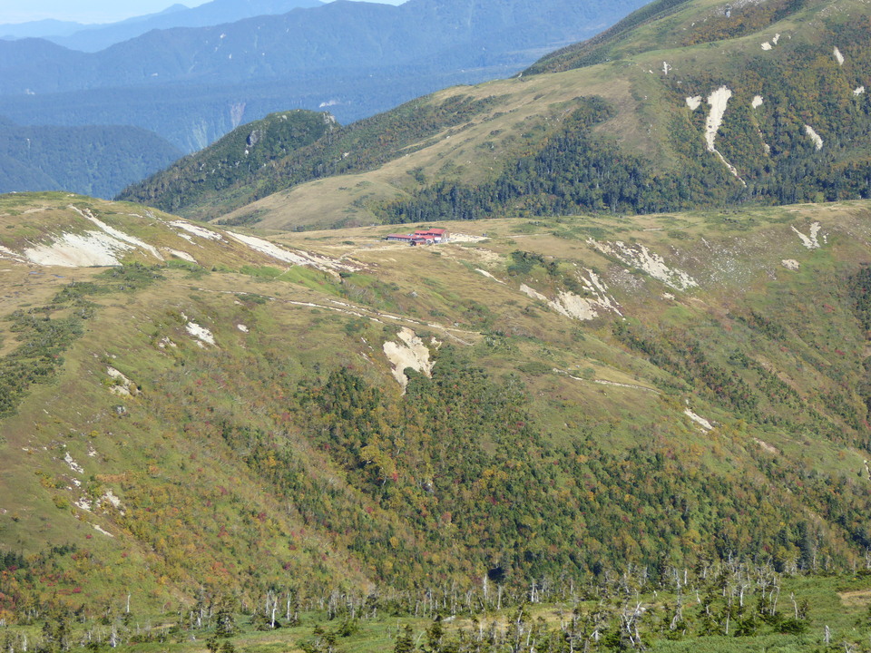 P1030514_mid.jpg