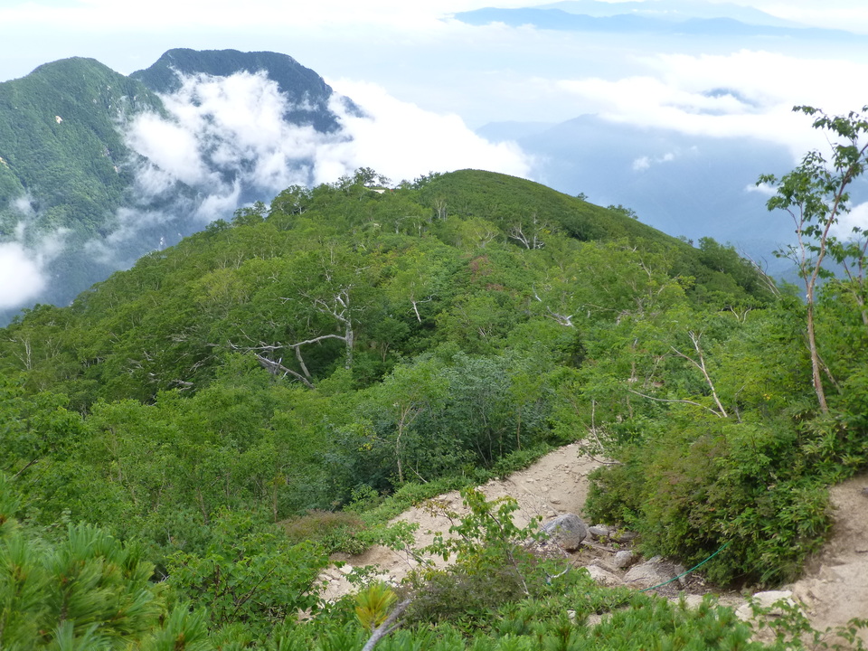 P1100468_mid.jpg